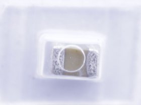 Panasonic Ceramic Capacitor - F1j2e1030004 Ceramic Capacitor