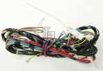 Smeg Harness - 820734410 Wiring