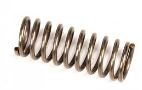 Spring - 4055398178 Suspension Ring [Electrolux Aeg]